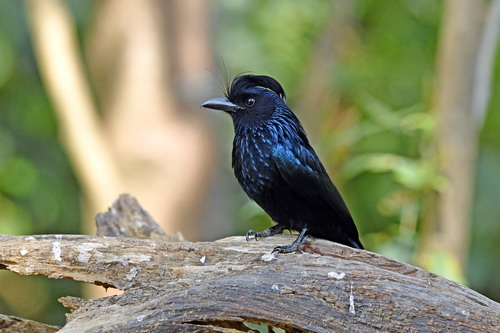 电子游戏app下载安装