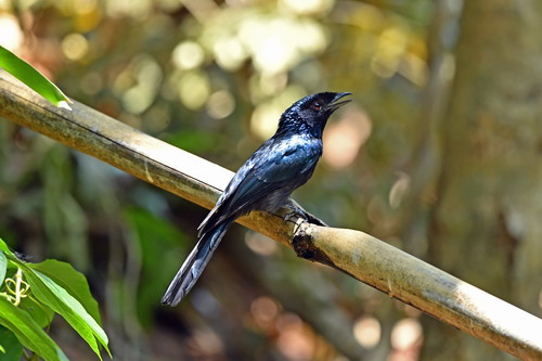 电子游戏app下载安装