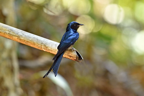 电子游戏app下载安装