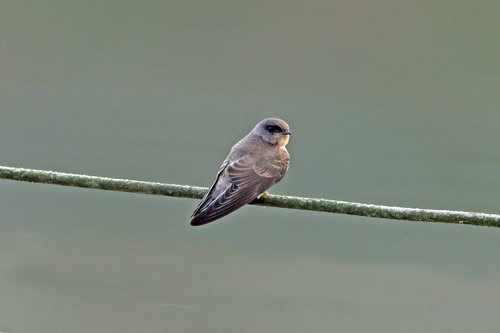 电子游戏app下载安装