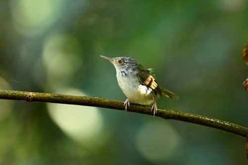 电子游戏app下载安装