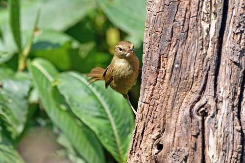 电子游戏app下载安装