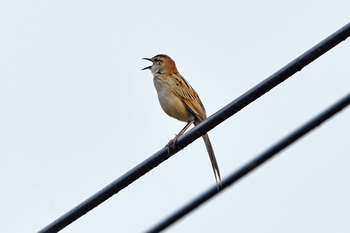 电子游戏app下载安装