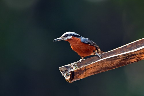 电子游戏app下载安装