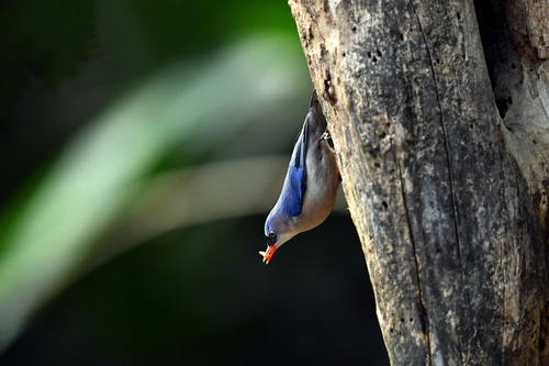 电子游戏app下载安装