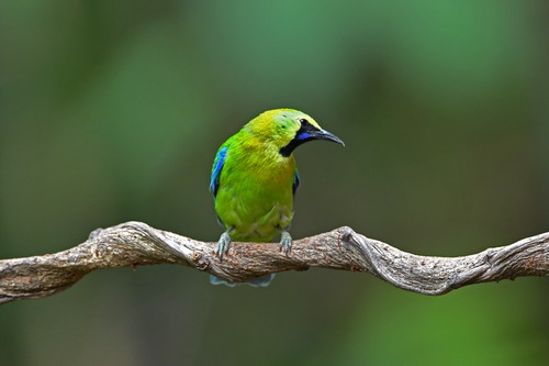 电子游戏app下载安装