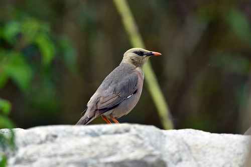 电子游戏app下载安装