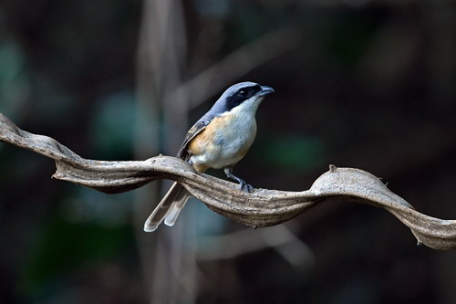 电子游戏app下载安装