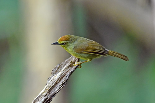 电子游戏app下载安装