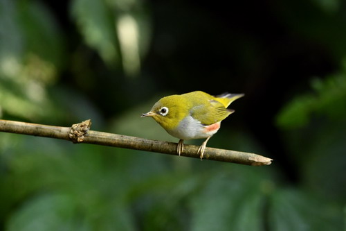 电子游戏app下载安装