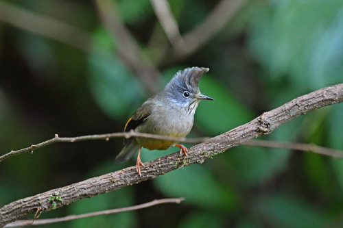 电子游戏app下载安装