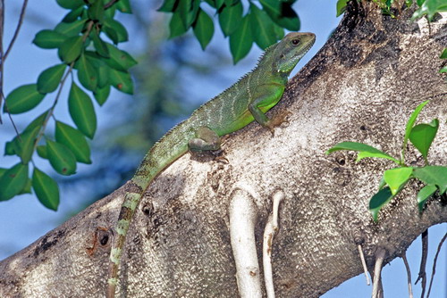 电子游戏app下载安装