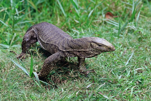 电子游戏app下载安装