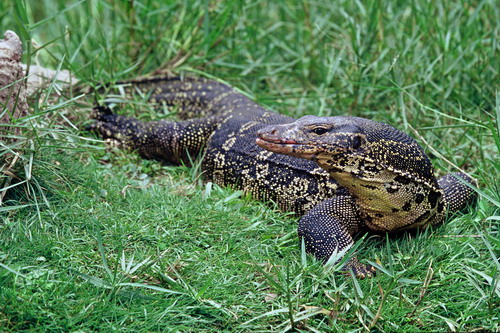 电子游戏app下载安装