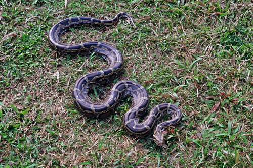 电子游戏app下载安装