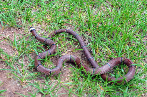 电子游戏app下载安装