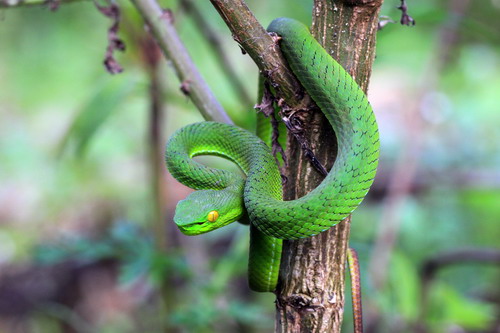 电子游戏app下载安装