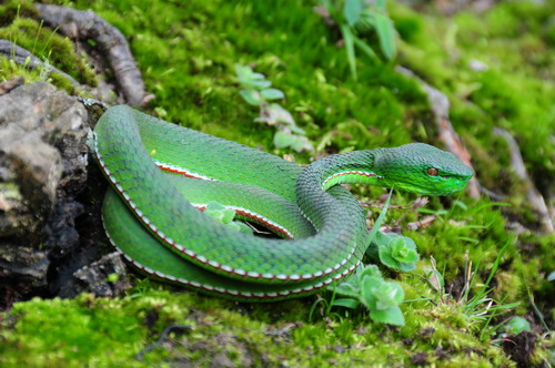 电子游戏app下载安装