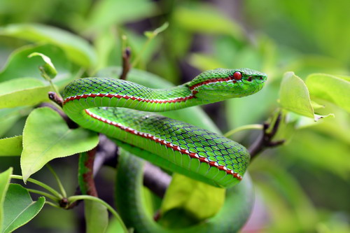 电子游戏app下载安装