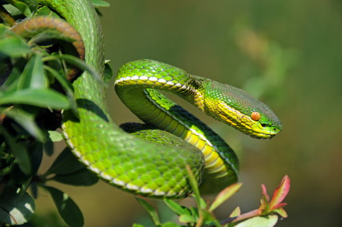 电子游戏app下载安装