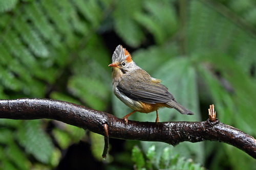 电子游戏app下载安装