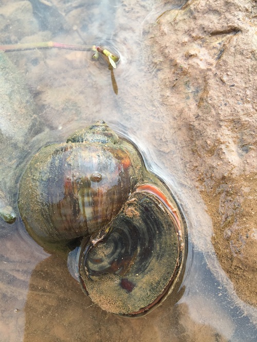 电子游戏app下载安装