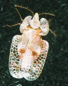 电子游戏app下载安装