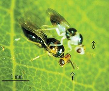 电子游戏app下载安装