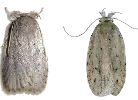 电子游戏app下载安装