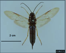 电子游戏app下载安装