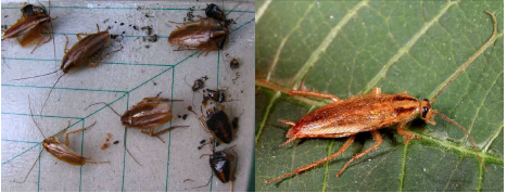 电子游戏app下载安装