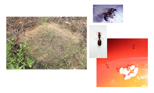 电子游戏app下载安装