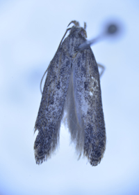 电子游戏app下载安装