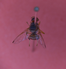 电子游戏app下载安装