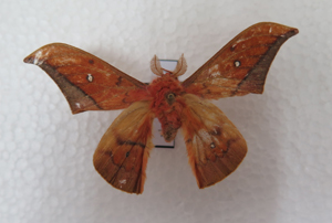 电子游戏app下载安装