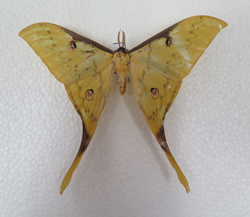 电子游戏app下载安装