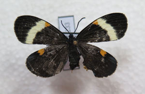 电子游戏app下载安装