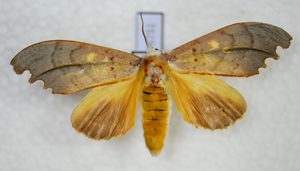 电子游戏app下载安装