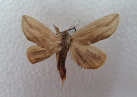 电子游戏app下载安装