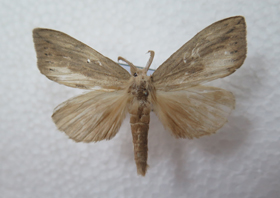 电子游戏app下载安装