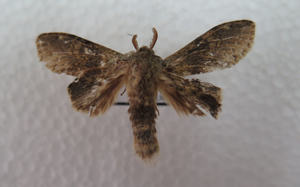 电子游戏app下载安装