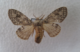 电子游戏app下载安装