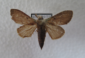 电子游戏app下载安装