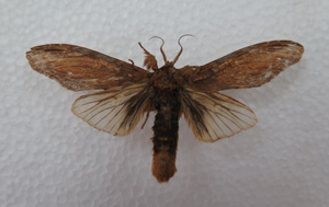 电子游戏app下载安装