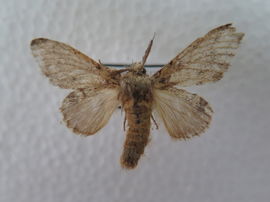 电子游戏app下载安装