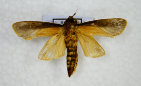 电子游戏app下载安装