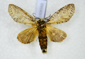 电子游戏app下载安装