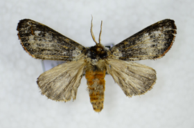 电子游戏app下载安装