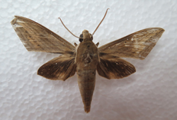 电子游戏app下载安装