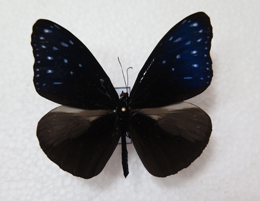 电子游戏app下载安装